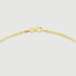 9ct Yellow Gold Plated Sterling Silver 2.6mm Belcher Chain 11 9ct Yellow Gold Plated Sterling Silver 2.6mm Belcher Chain -Fashion Accessories Store gold plated sterling silver belcher chain clasp grey tchygbl26 2000q6