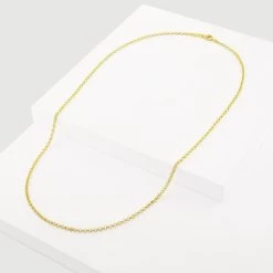 9ct Yellow Gold Plated Sterling Silver 2.3mm Belcher Chain 10 9ct Yellow Gold Plated Sterling Silver 2.3mm Belcher Chain -Fashion Accessories Store gold plated sterling silver belcher chain whole view grey tchygbl23 2000q6