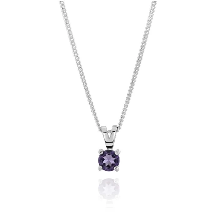 Sterling Silver February Amethyst Birthstone Necklace With Curb Chain 1 Sterling Silver February Amethyst Birthstone Necklace With Curb Chain