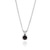 Sterling Silver January Garnet Birthstone Necklace With Curb Chain
